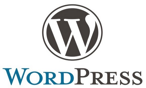 Как правильно задавать вопросы по wordpress