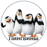Команда «Пингвины»