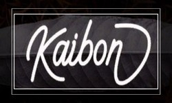 Шрифт Kaibon Script